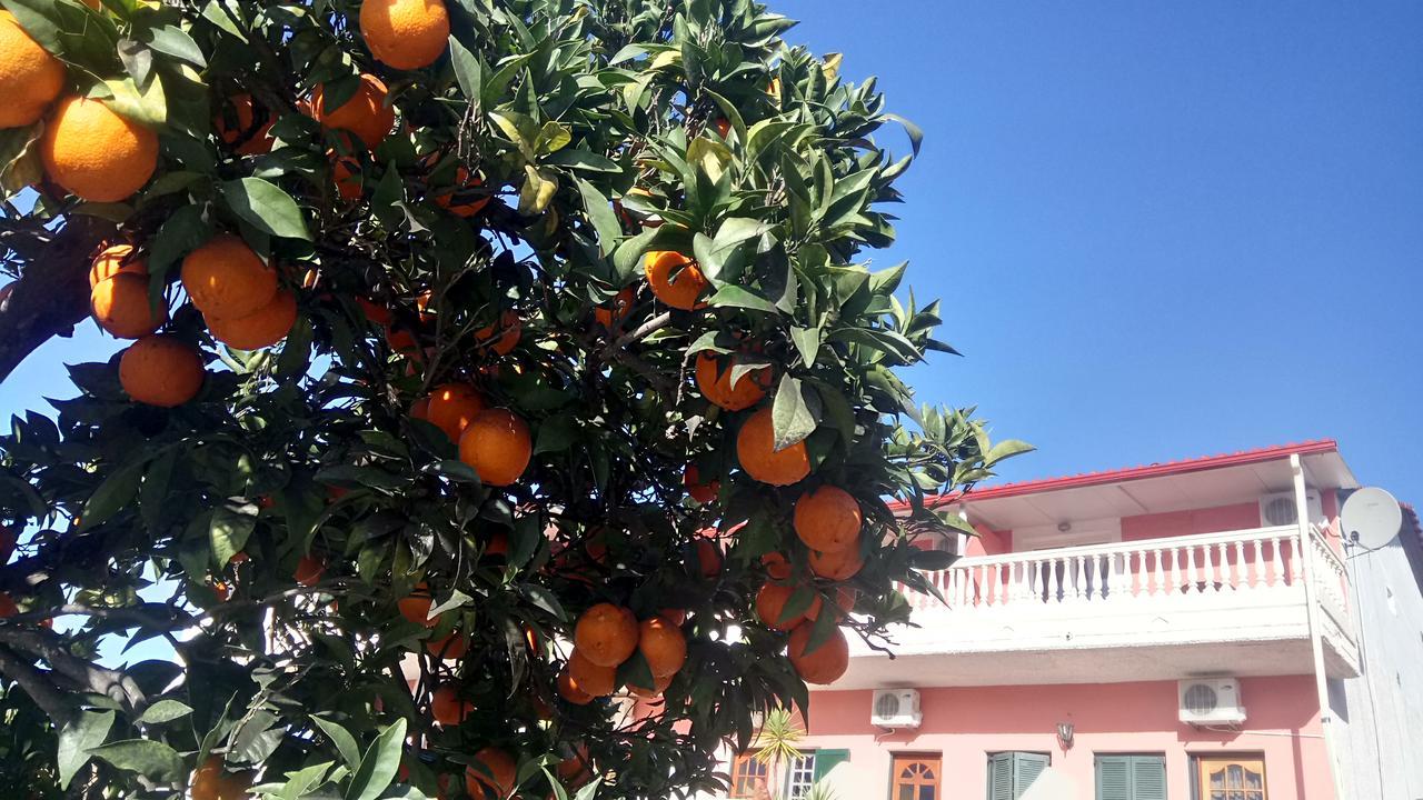 Flamingo Apartments Moraitika Corfu Eksteriør billede